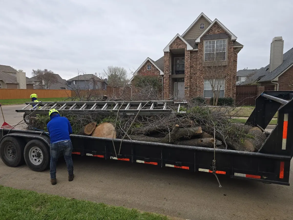 Expert Tree Fertilization with proper safety equipment in West Augusta